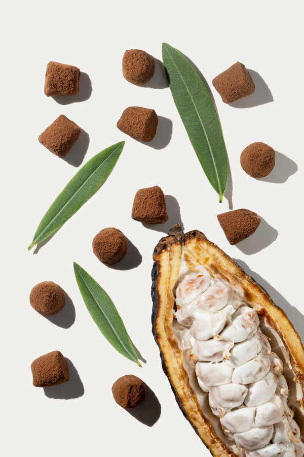 Trufas de chocolate veganas - a granel